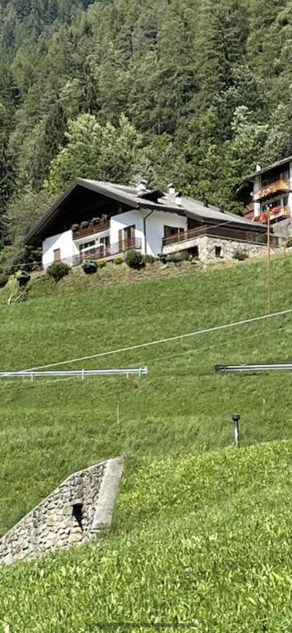 Villetta Sulle Dolomiti Pracorno di Rabbi Ngoại thất bức ảnh
